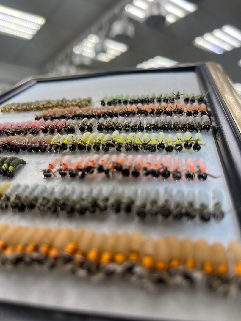 Изображение WhatsApp 2024-07-09 в 15.38.56_1a6af252.jpg