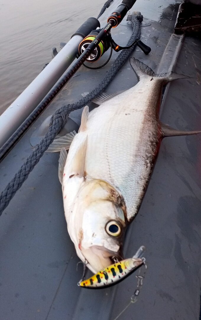 Изображение WhatsApp 2024-10-02 в 16.20.35_455c0ea3.jpg