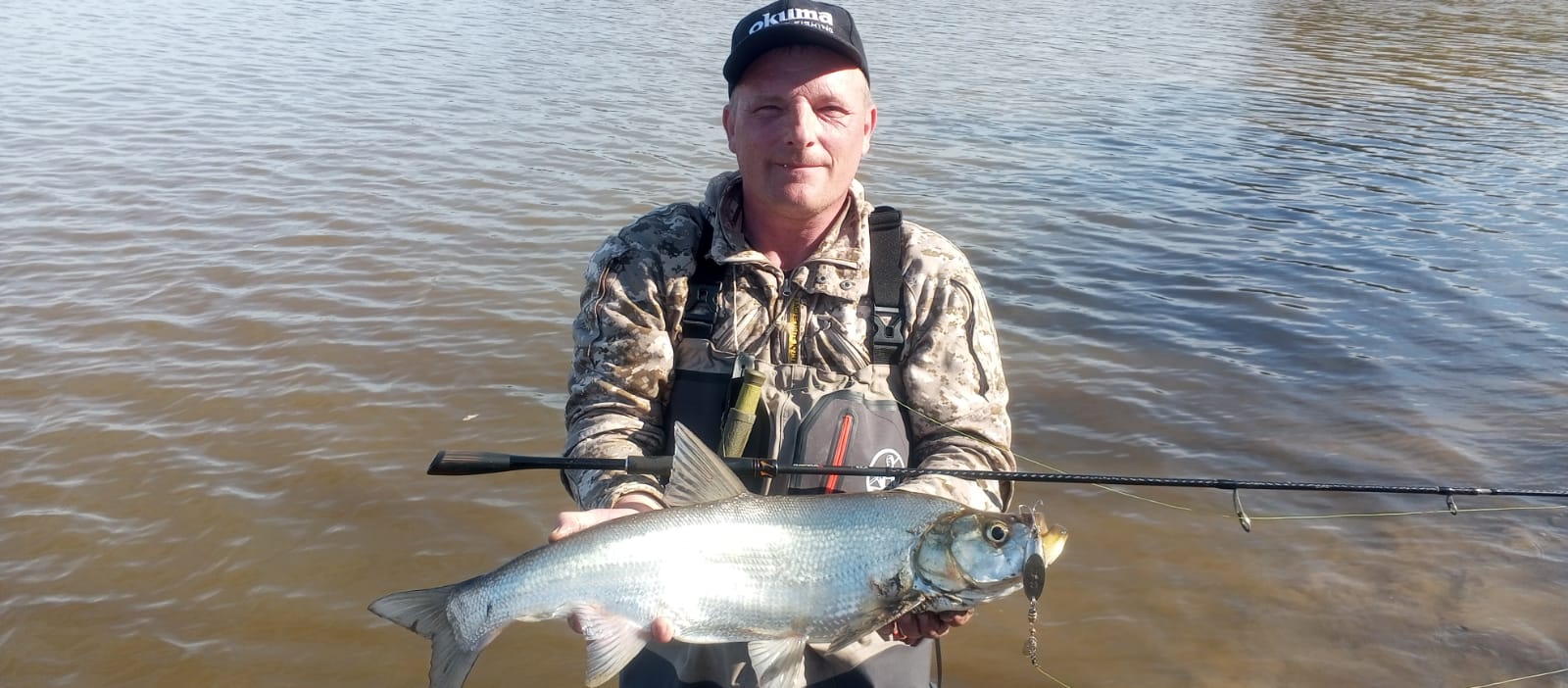 Изображение WhatsApp 2024-10-02 в 16.20.44_f270e8a3.jpg