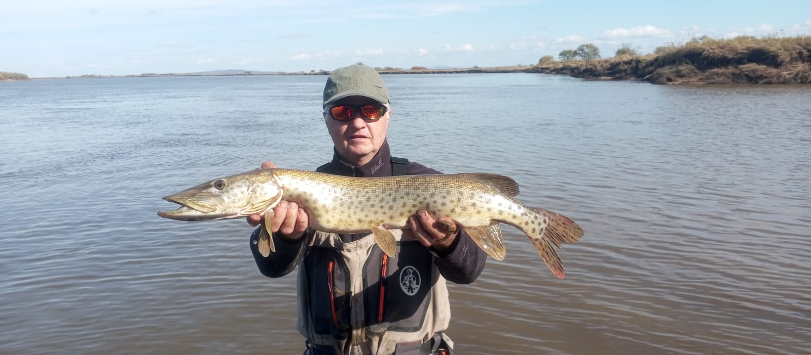 Изображение WhatsApp 2024-10-02 в 16.20.46_5aaeb6e4.jpg