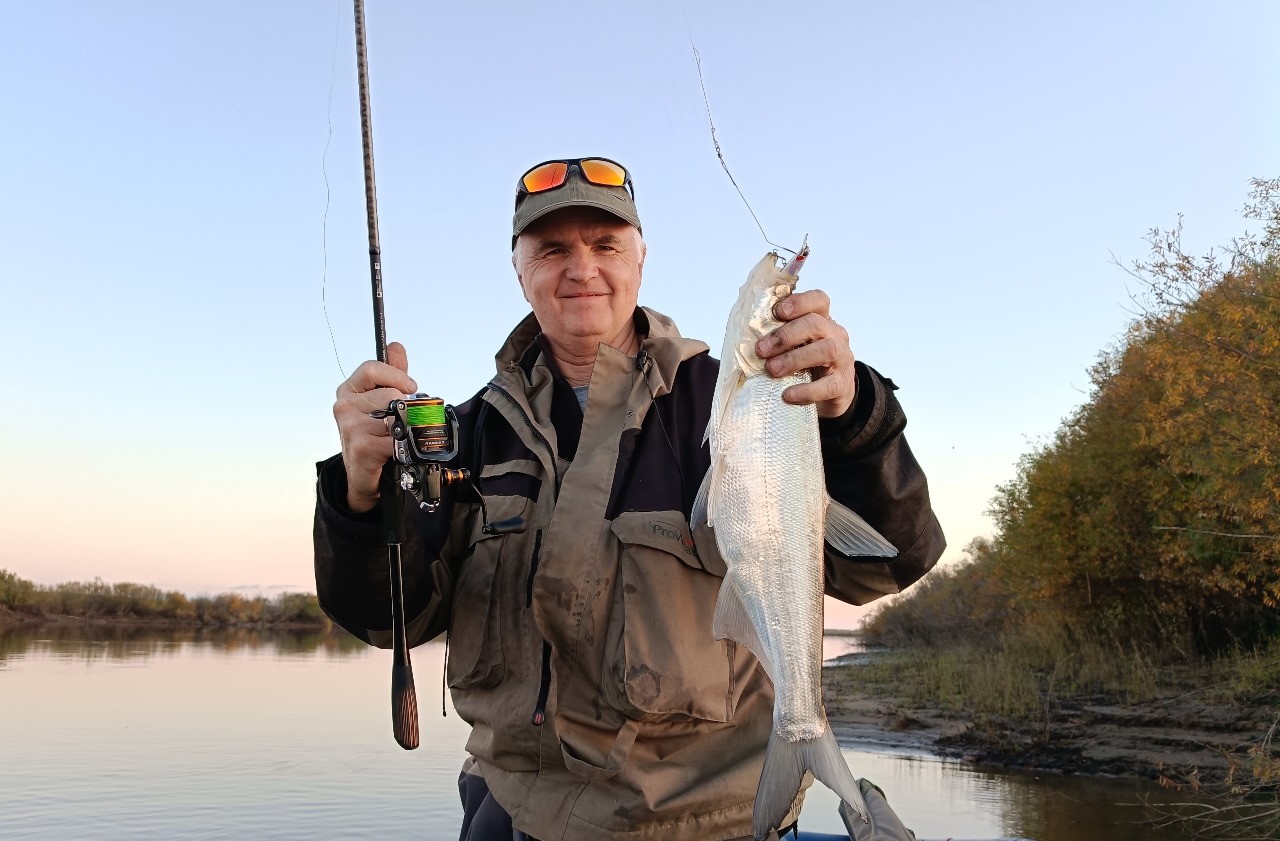 Изображение WhatsApp 2024-10-11 в 15.12.35_c33d3aa8.jpg