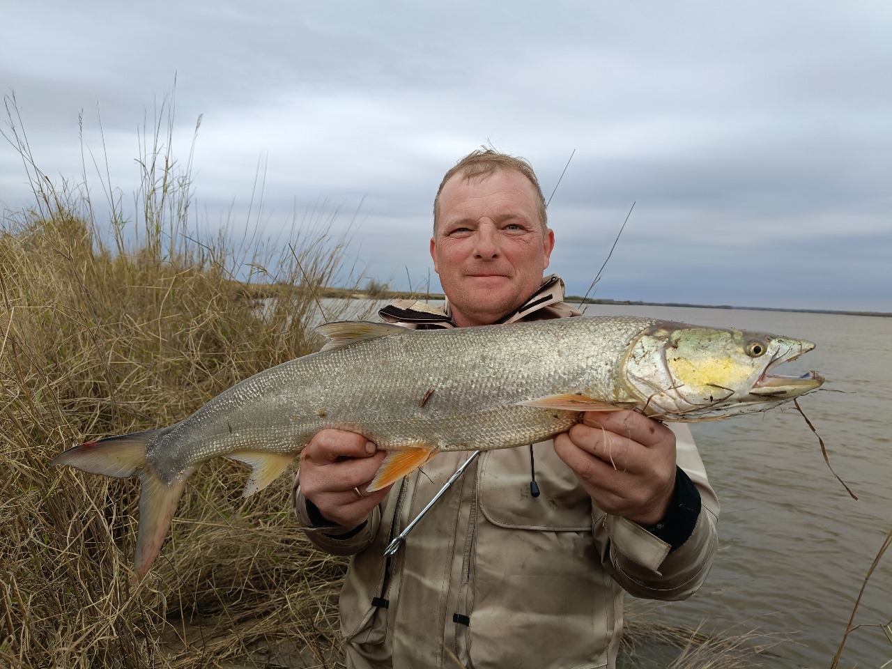 Изображение WhatsApp 2024-10-11 в 15.21.53_8f7f09d6.jpg