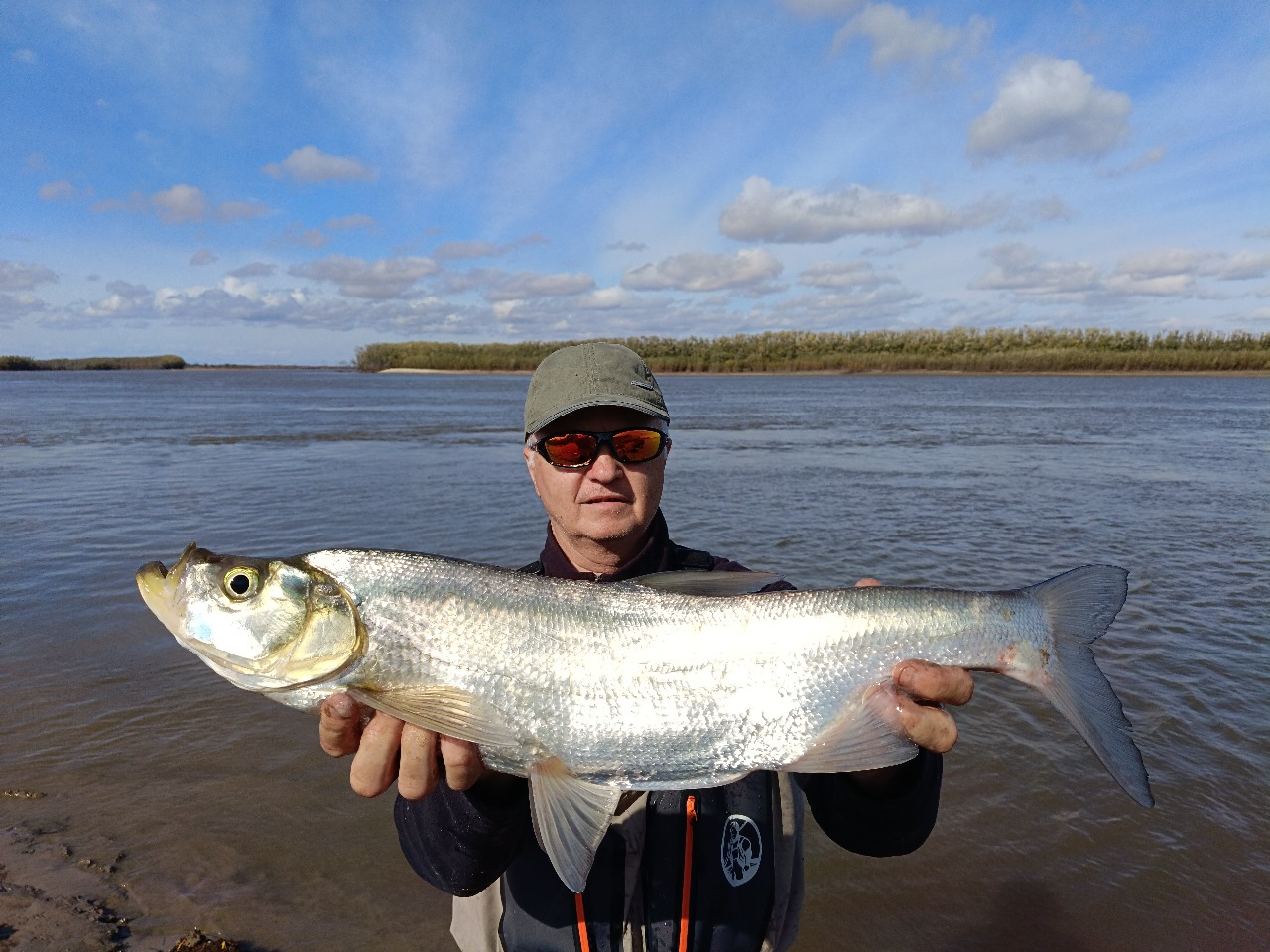 Изображение WhatsApp 2024-10-11 в 15.23.14_6c753567.jpg