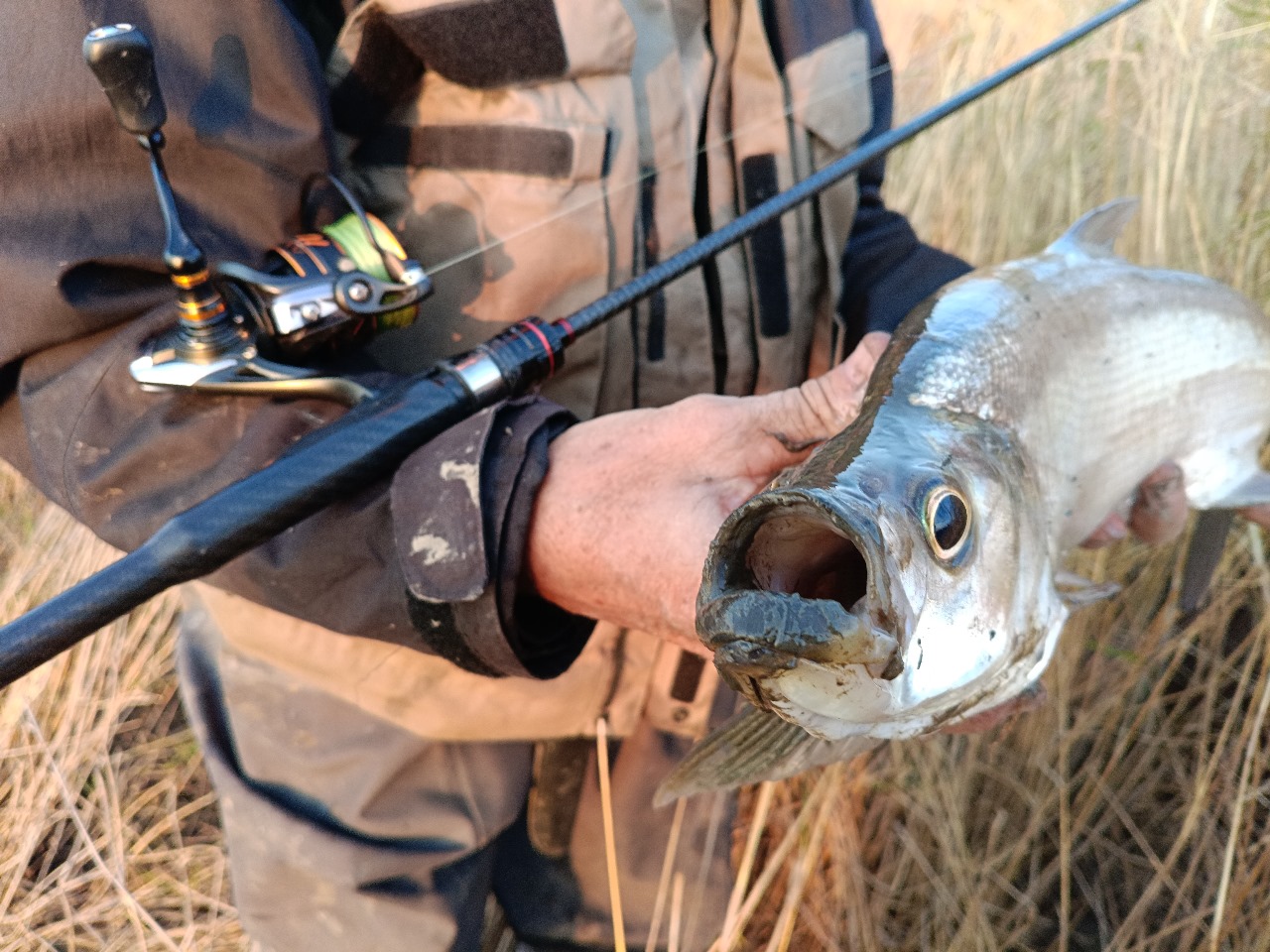 Изображение WhatsApp 2024-10-11 в 15.23.41_c117cc5f.jpg