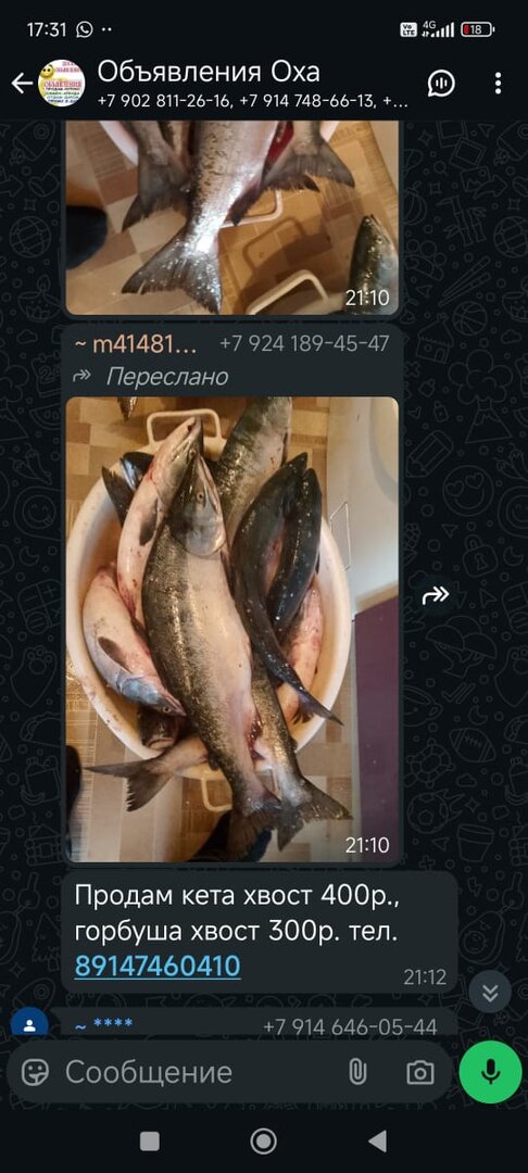 Изображение WhatsApp 2025-07-17 в 09.31.39_ea75c8e7.jpg