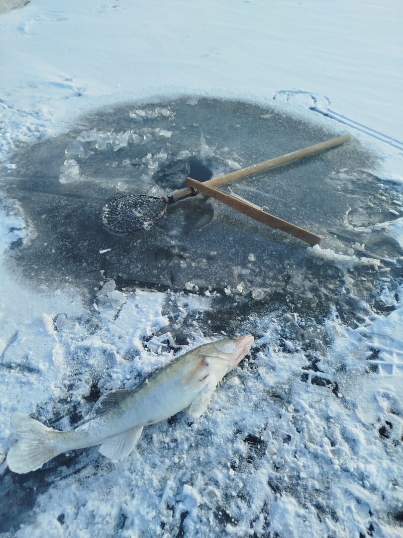 Изображение WhatsApp 2025-11-09 в 14.09.45_743b094e.jpg