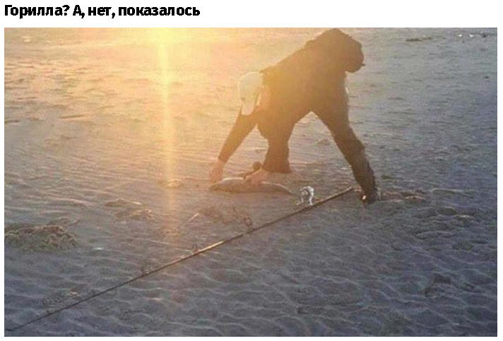 изображение_2020-12-07_131038.png