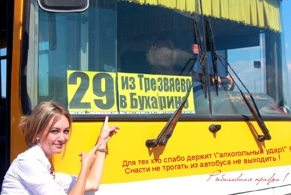 яimage.jpg
