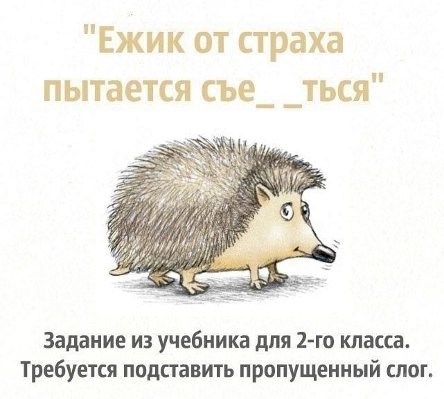 Йожег.jpg