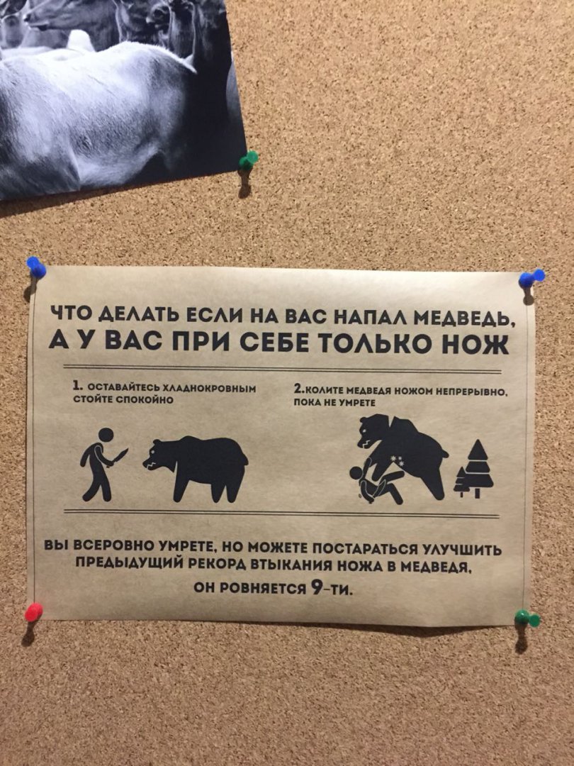 !!!!.jpg