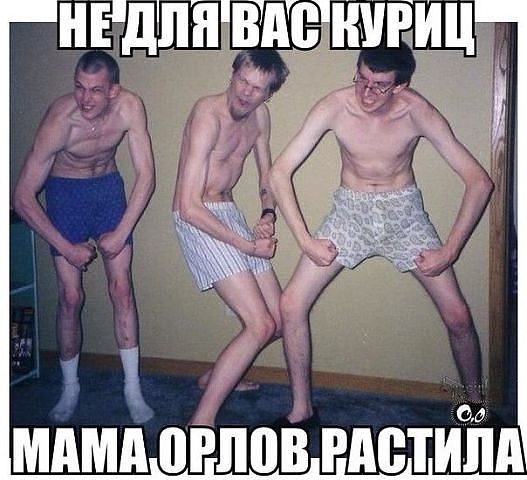 йвцвц.jpg