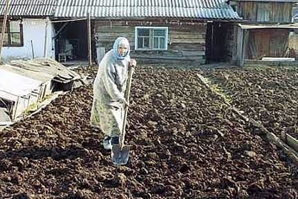 К.jpg
