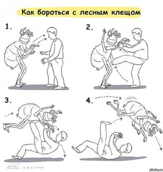 k.jpg