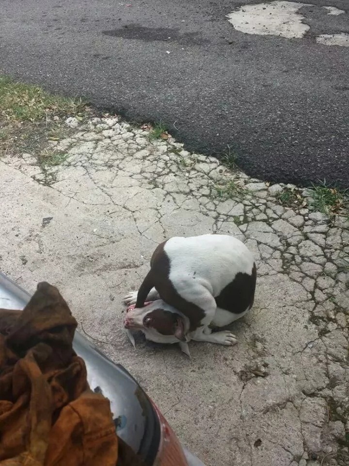 ка.jpg