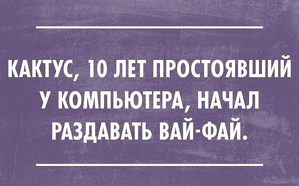 Кактус.jpg