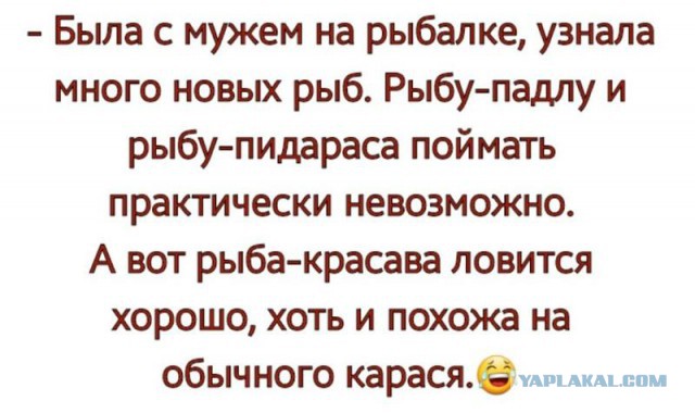 карась.jpg