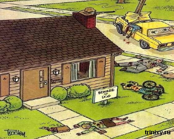 karikatury_07.jpg