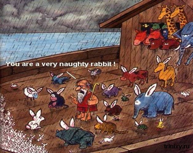karikatury_41.jpg
