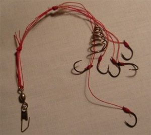 karp-snast.jpg