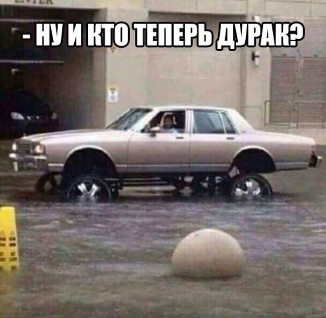 kartinki-prikolnye-kartinki-smeshnye-kartinki-fotoprikoly_8571712846.jpg