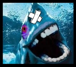 катран выхватил.jpg