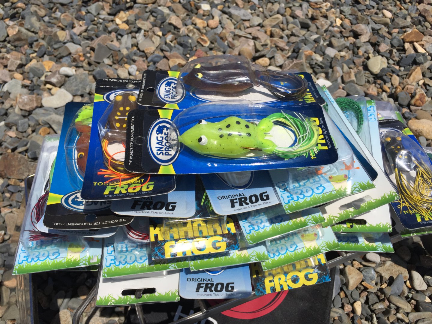 Каждому по лягушке от Х.JPG