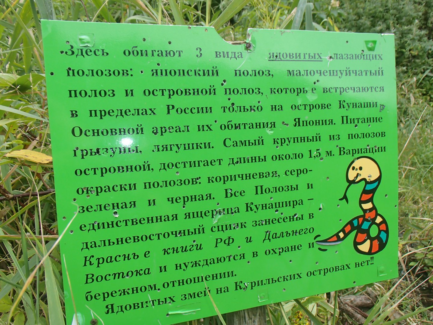 Колмаков (525).JPG
