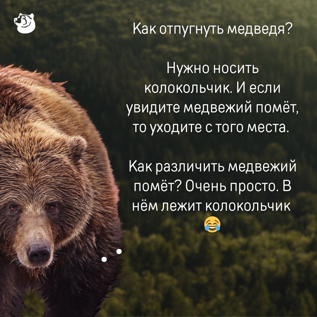 Коло.jpg