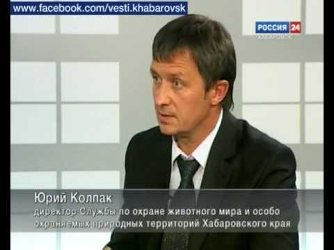 колпак.jpg