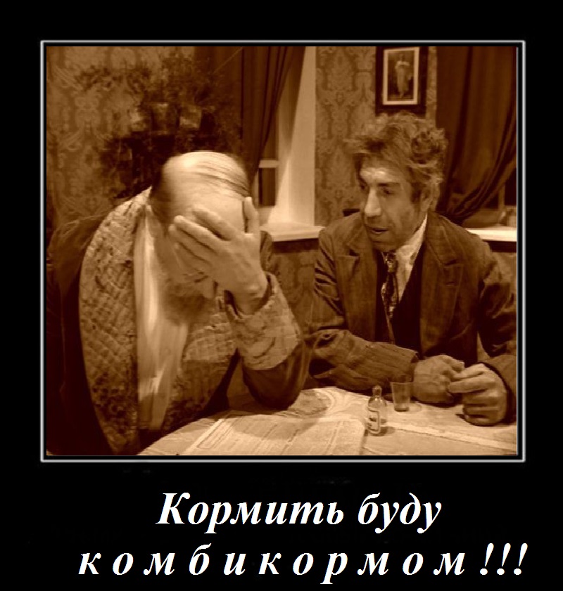комбикорм.jpg