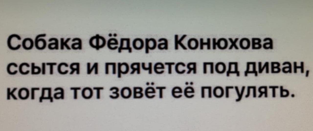 конь.jpg
