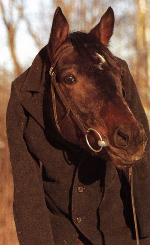 konvpalto8drvi0_131.jpg
