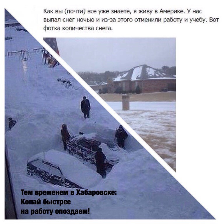 копай.jpg
