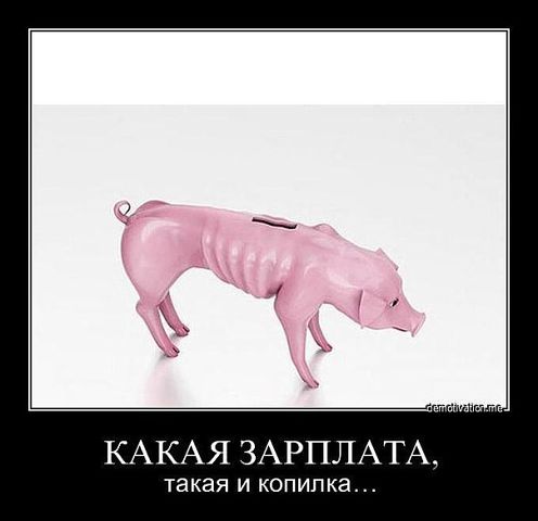 копилка.jpg