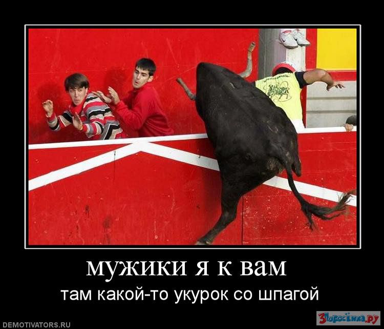 коррида.jpg