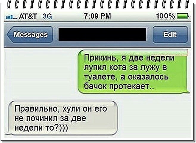 Кот-бачок.jpg