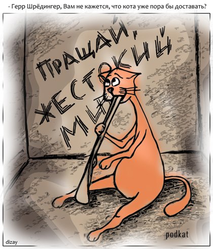 кот шредингера.jpg