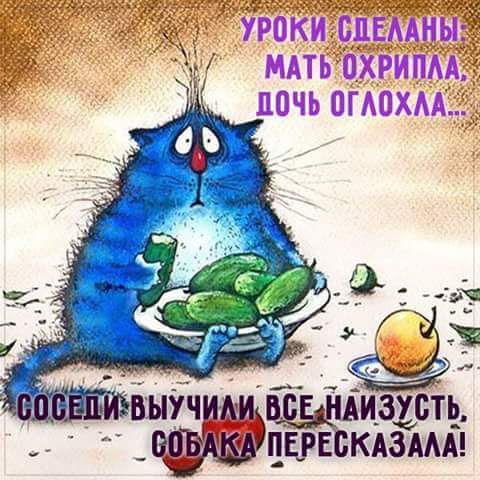 котей.jpg