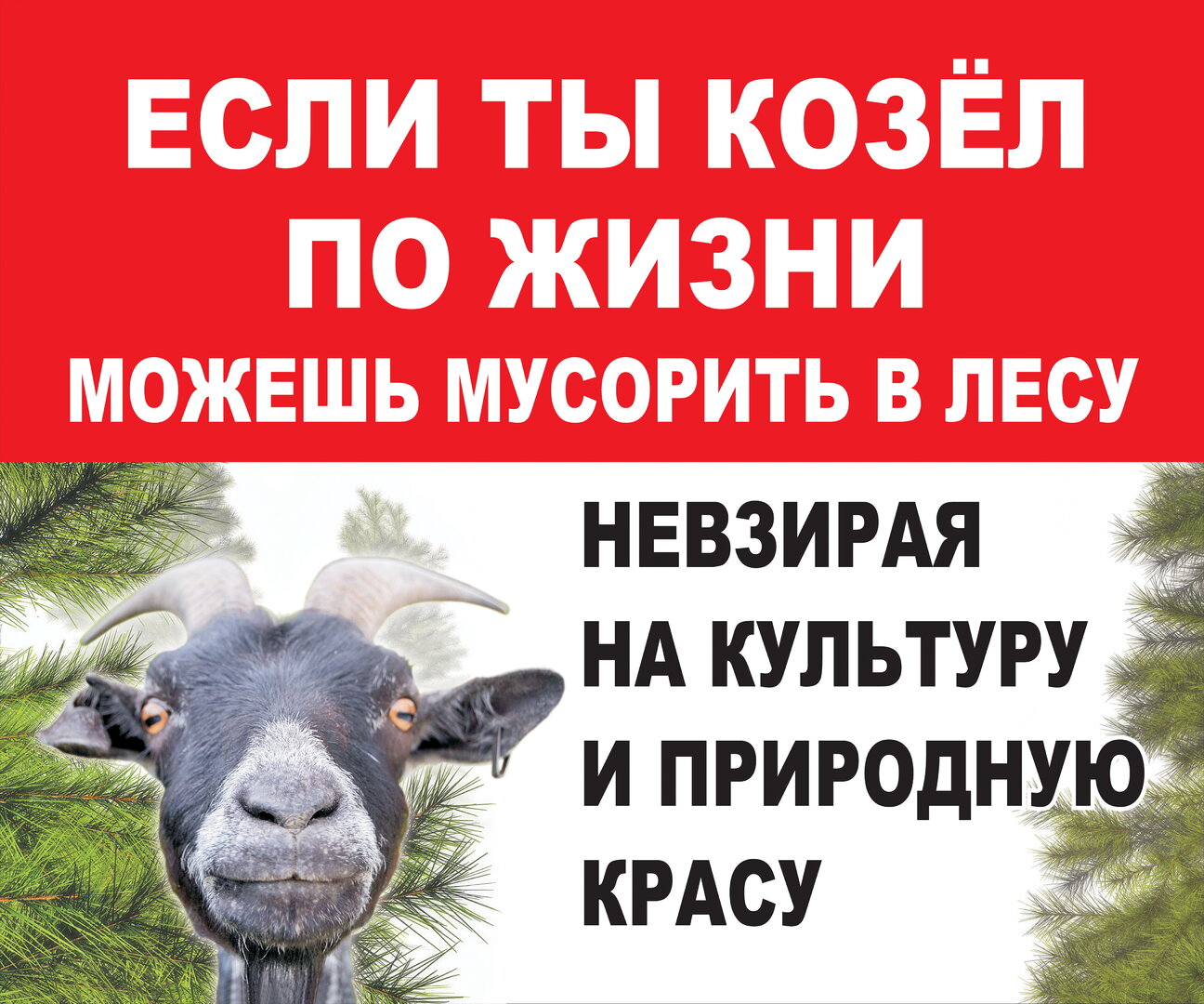Козел2 сжатый.jpg