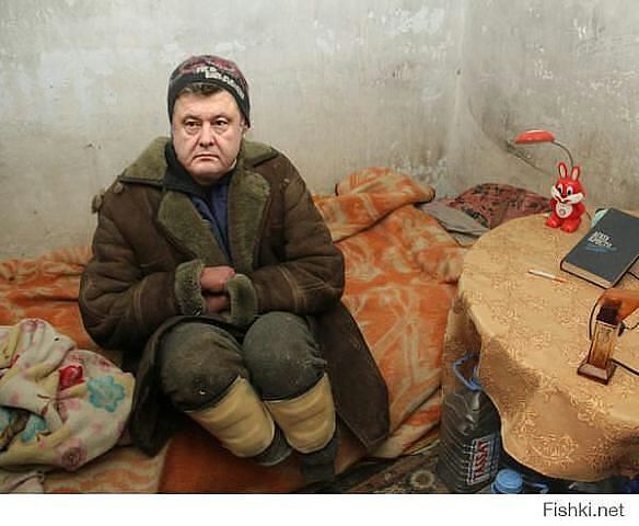 красавчег.jpg