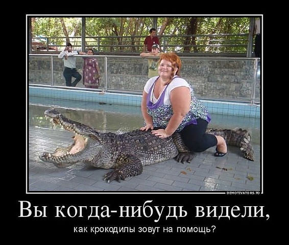 крок.jpg