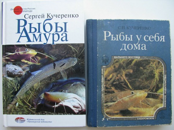 kucherenko-x2.JPG