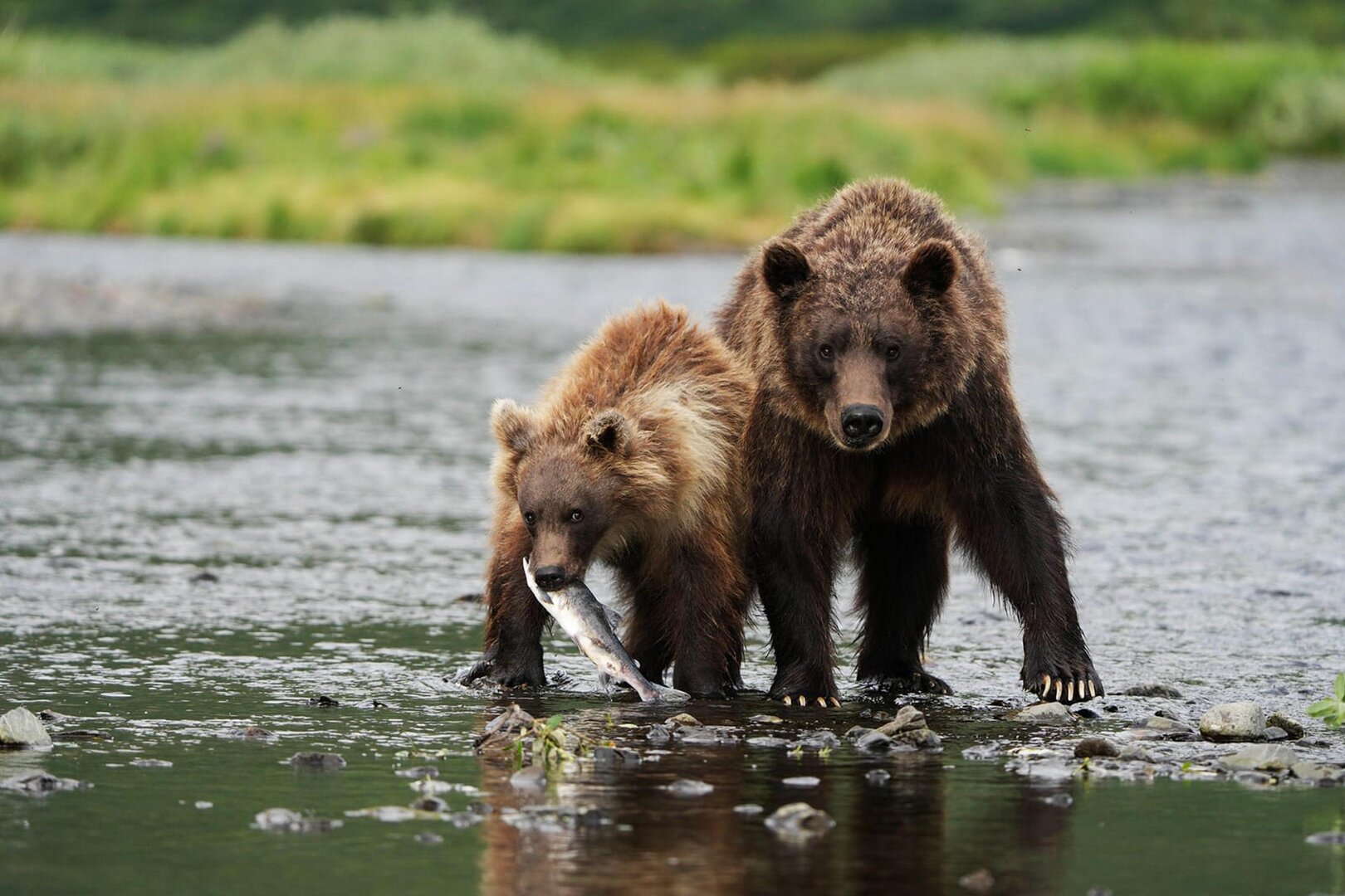 Куренной 7.jpeg