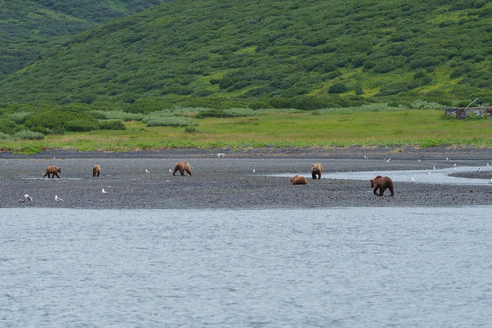 Куренной 8.jpeg