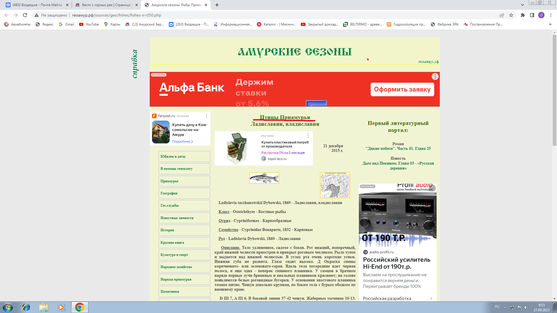 ладиславия.png