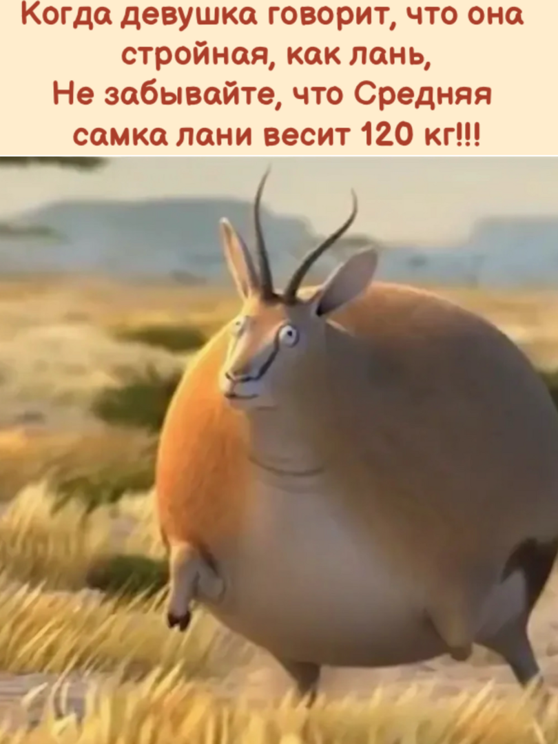 лань.png