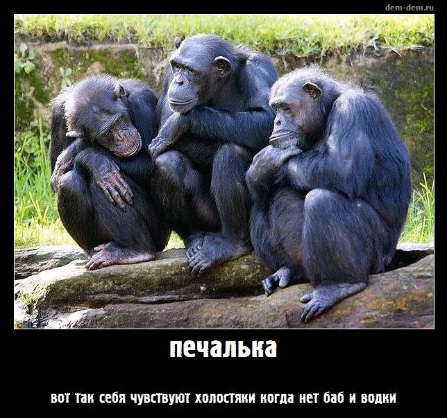 лд.jpg