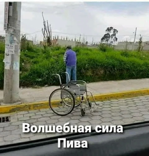 ЛДО.jpg