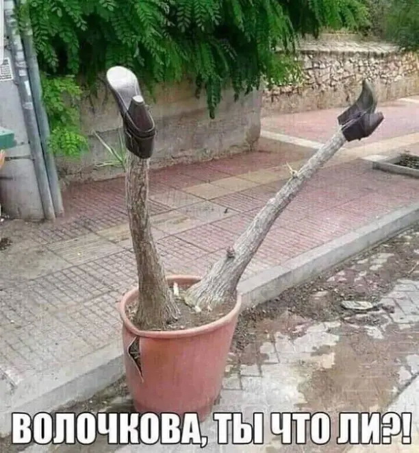 ле.jpg