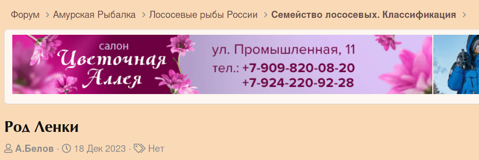 ленки.png